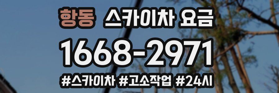 항동 스카이차 요금