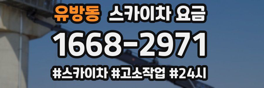 유방동 스카이차 요금