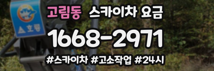 고림동 스카이차 요금