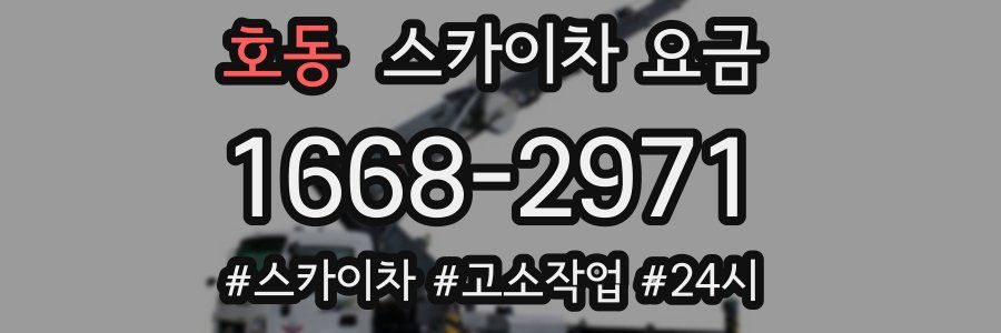 호동 스카이차 요금