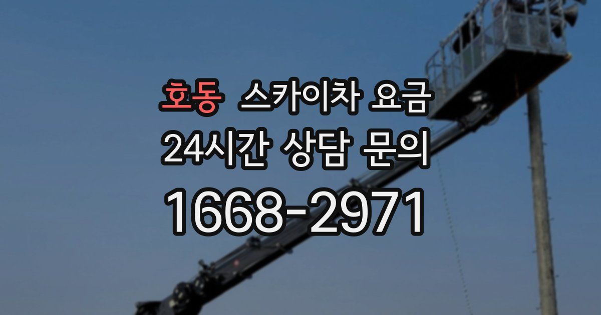 호동 스카이차 요금