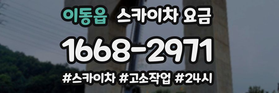 이동읍 스카이차 요금