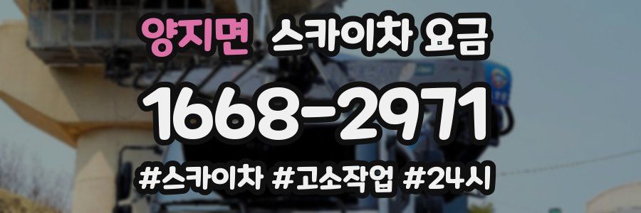 양지면 스카이차 요금