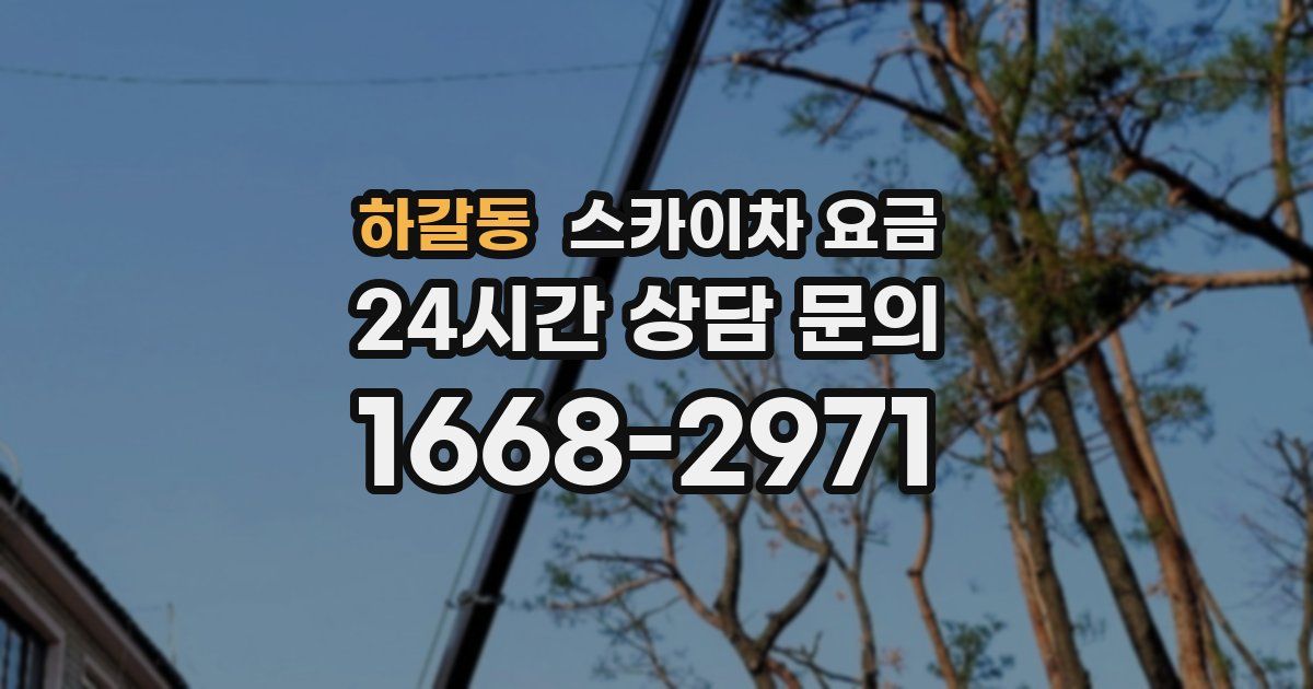 하갈동 스카이차 요금