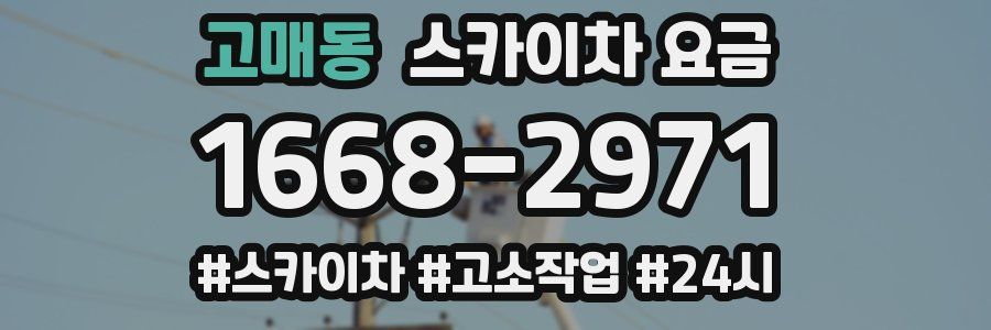 고매동 스카이차 요금