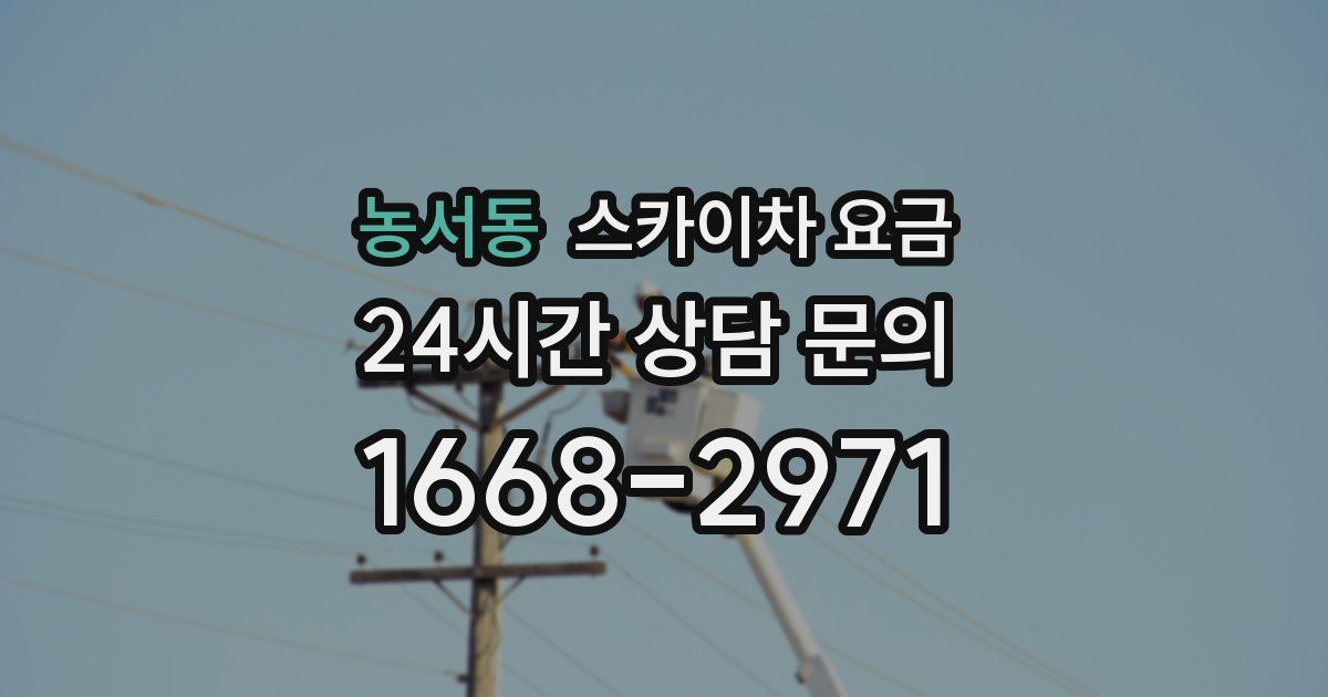 농서동 스카이차 요금