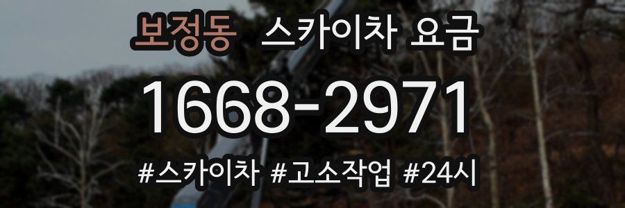 보정동 스카이차 요금