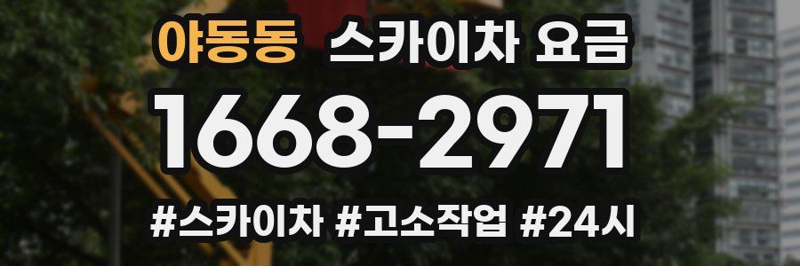 야동동 스카이차 요금