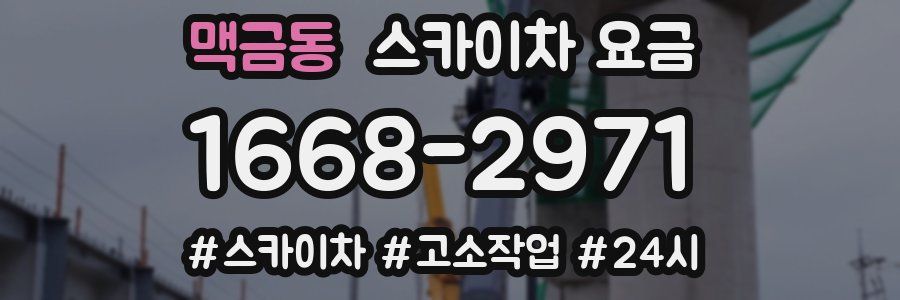 맥금동 스카이차 요금