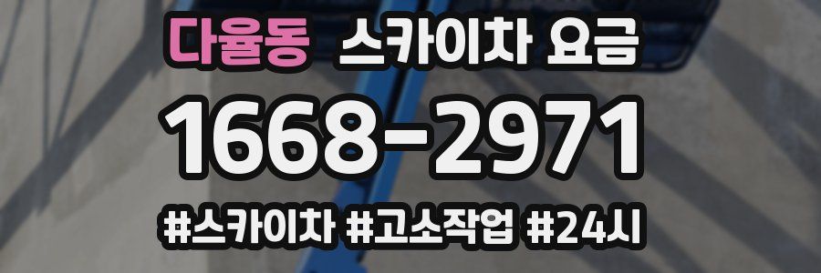 다율동 스카이차 요금