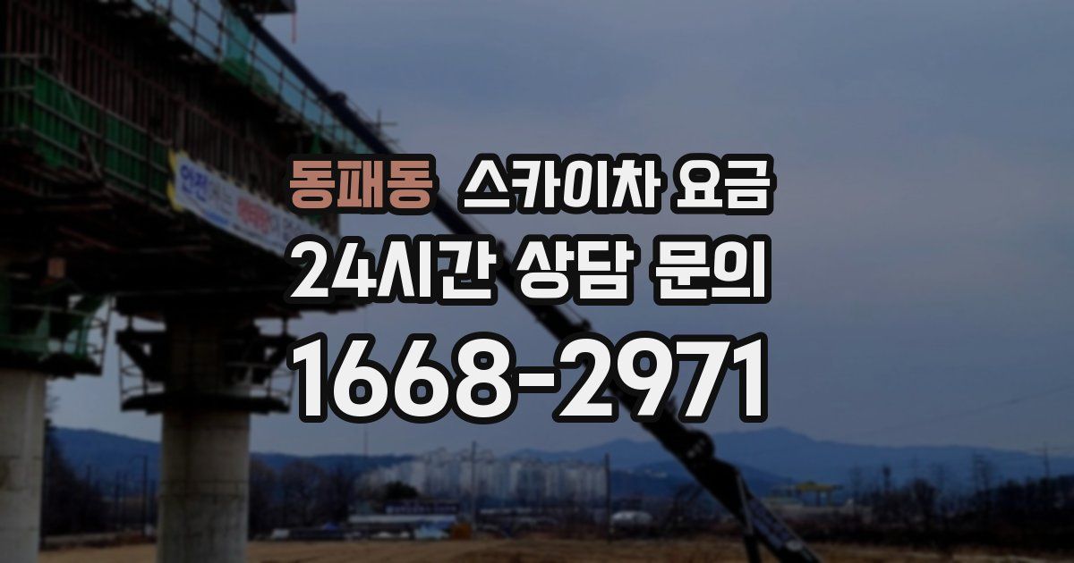 동패동 스카이차 요금