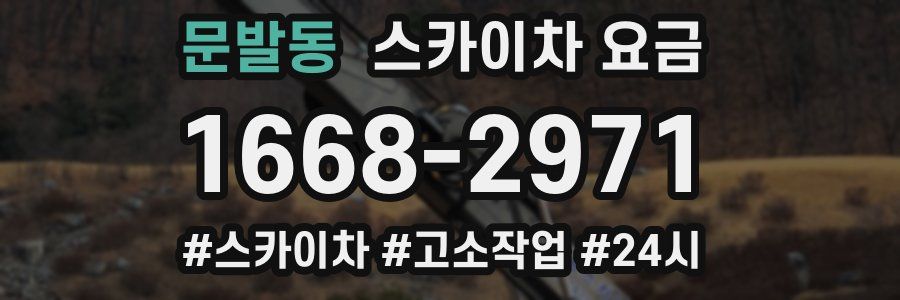 문발동 스카이차 요금