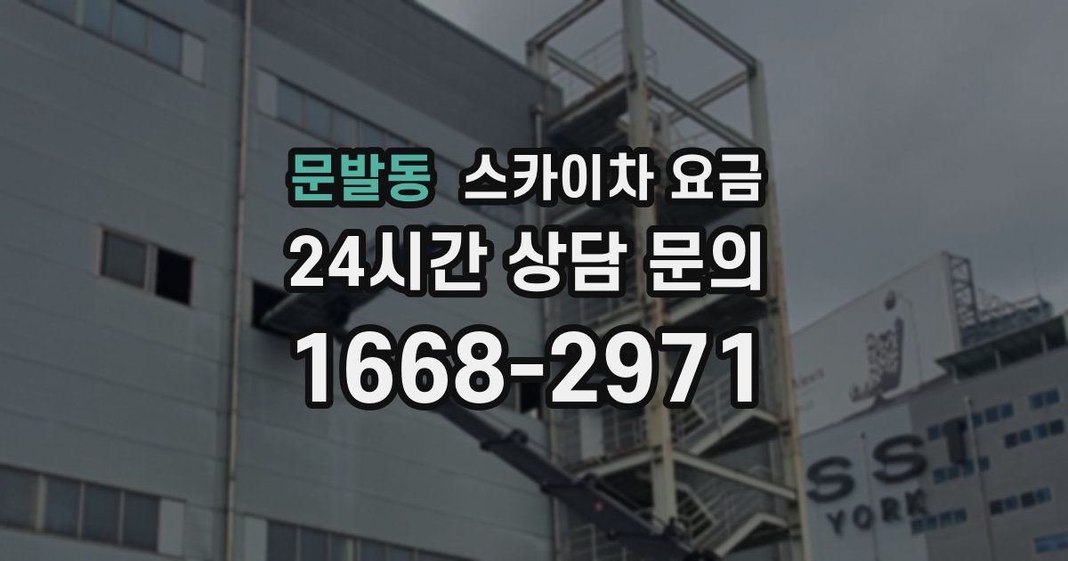 문발동 스카이차 요금