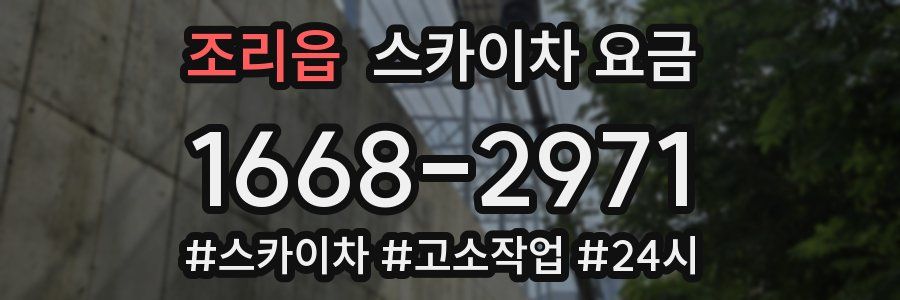 조리읍 스카이차 요금