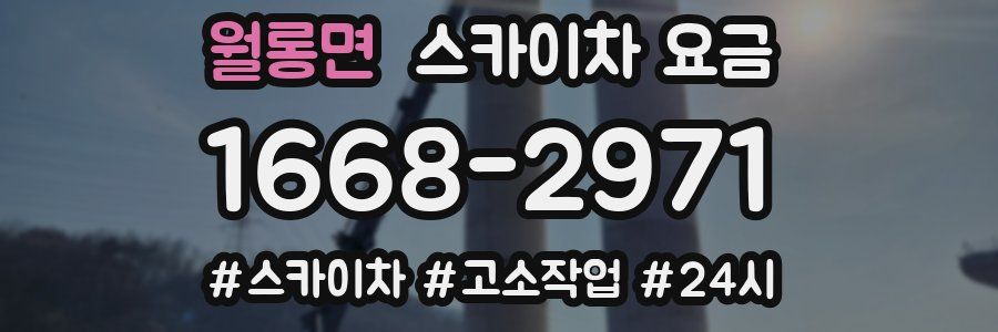 월롱면 스카이차 요금