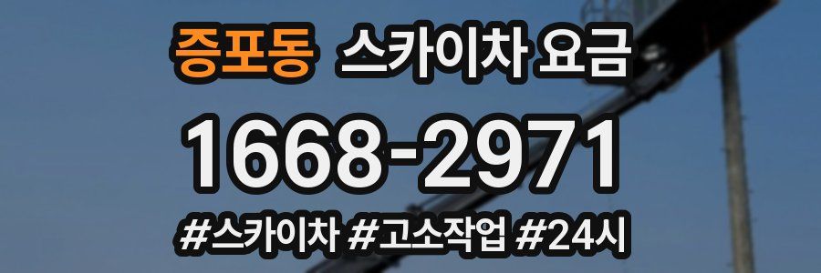 증포동 스카이차 요금