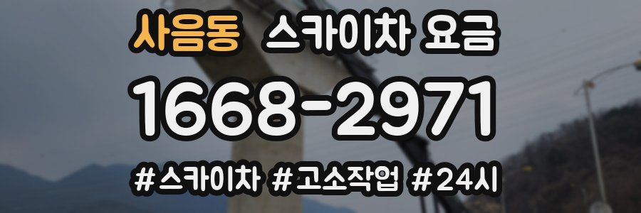 사음동 스카이차 요금