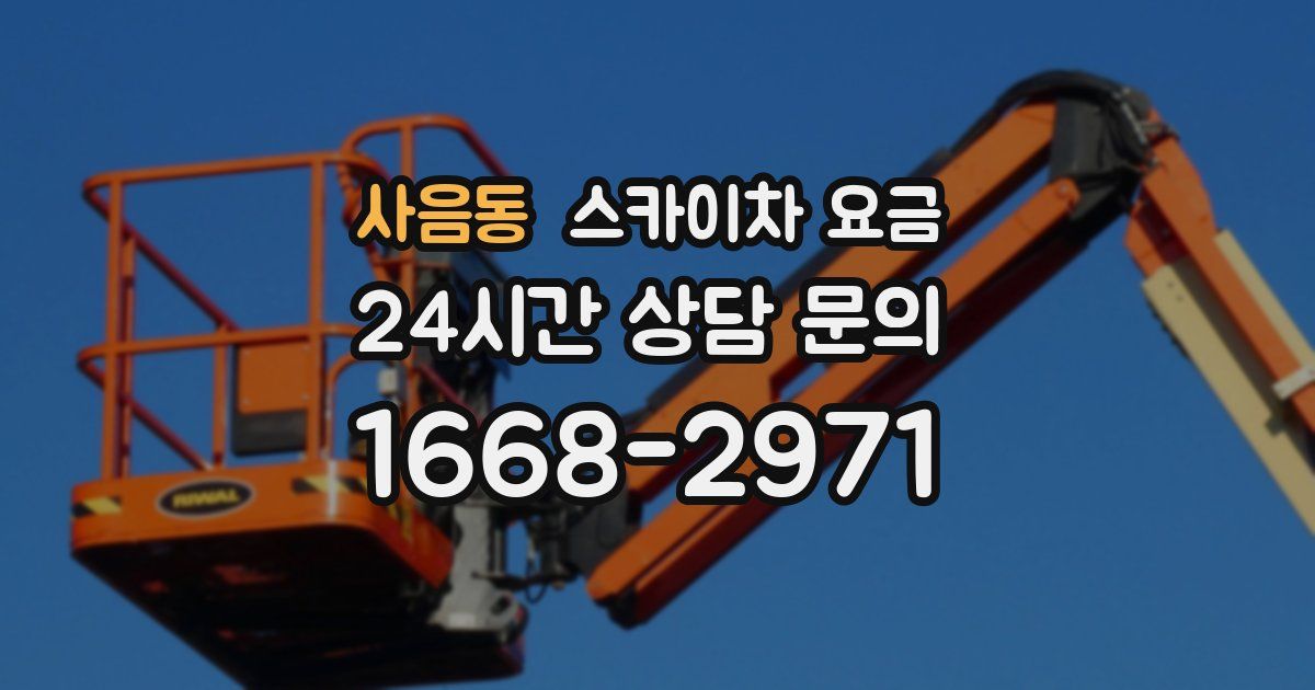 사음동 스카이차 요금