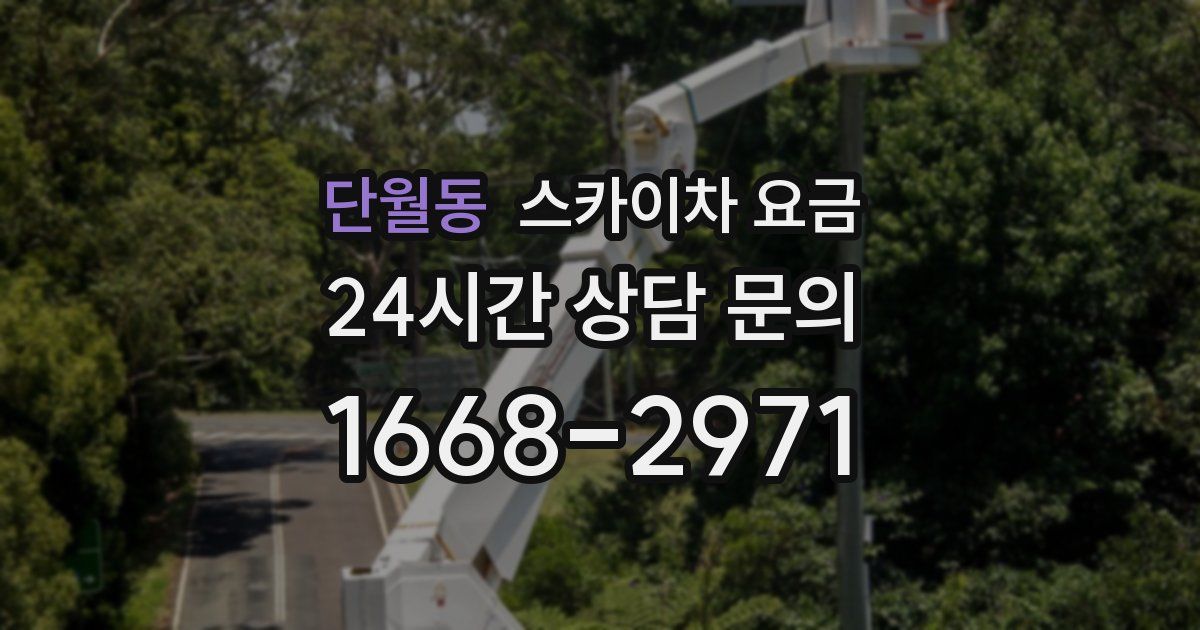 단월동 스카이차 요금