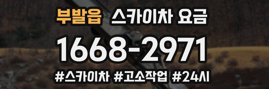 부발읍 스카이차 요금