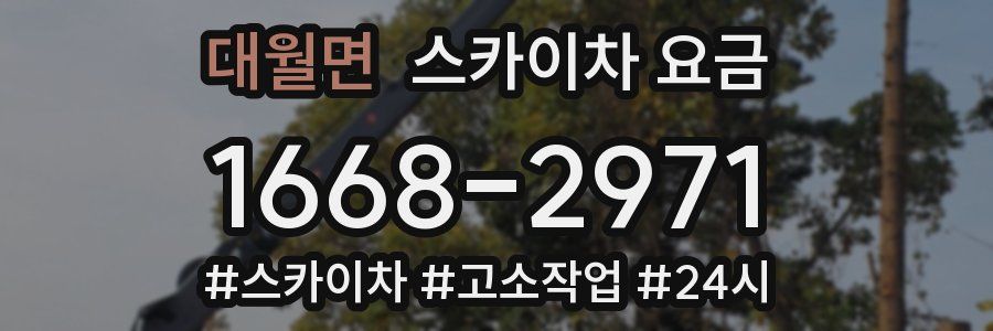 대월면 스카이차 요금