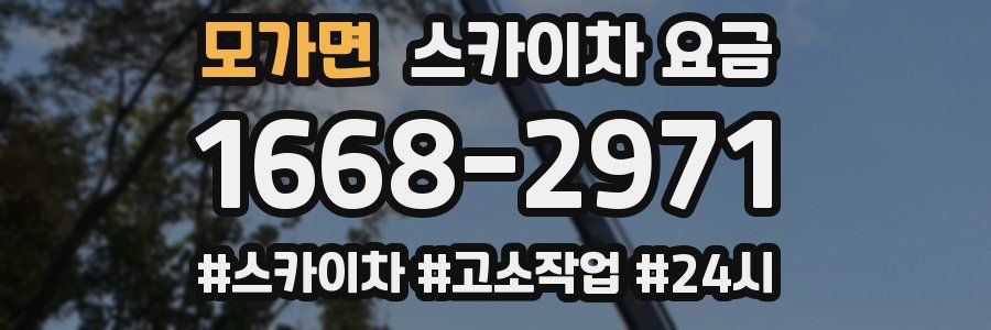 모가면 스카이차 요금