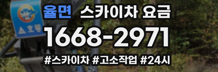 율면 스카이차 요금