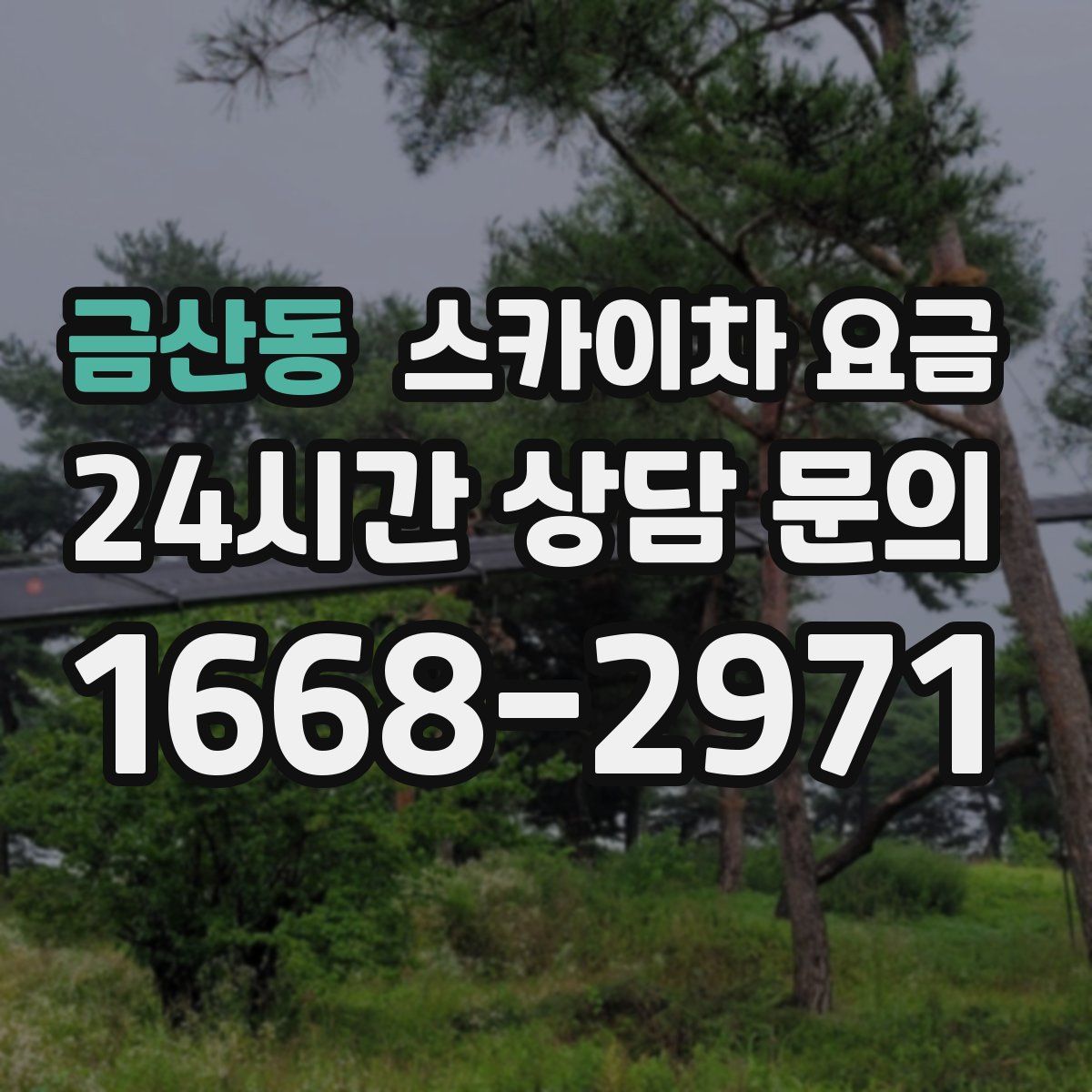 금산동 스카이차 요금