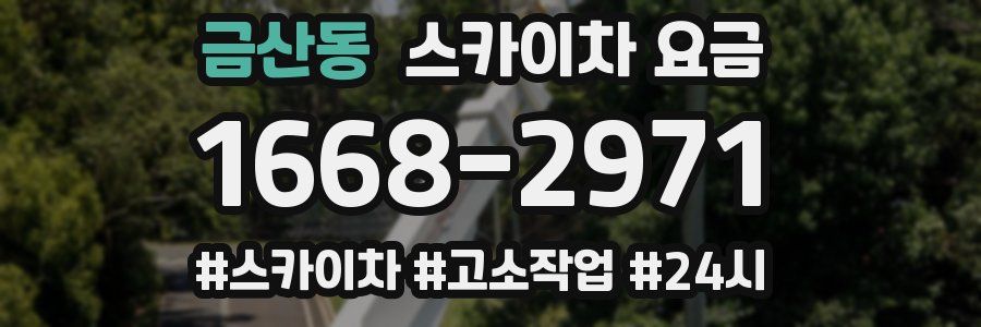 금산동 스카이차 요금