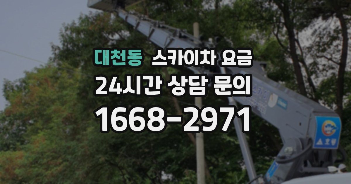 대천동 스카이차 요금