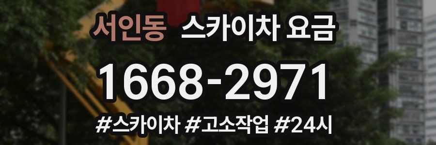 서인동 스카이차 요금