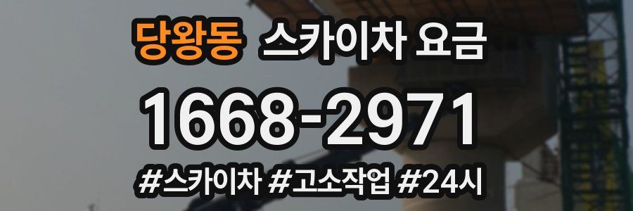 당왕동 스카이차 요금