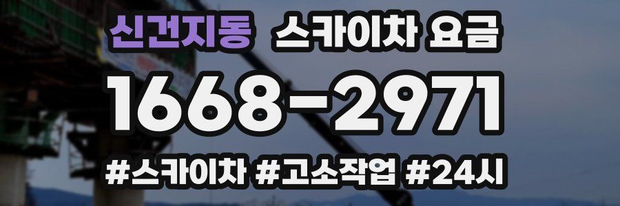 신건지동 스카이차 요금