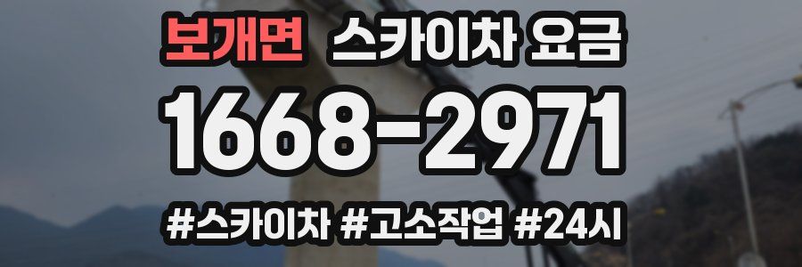 보개면 스카이차 요금