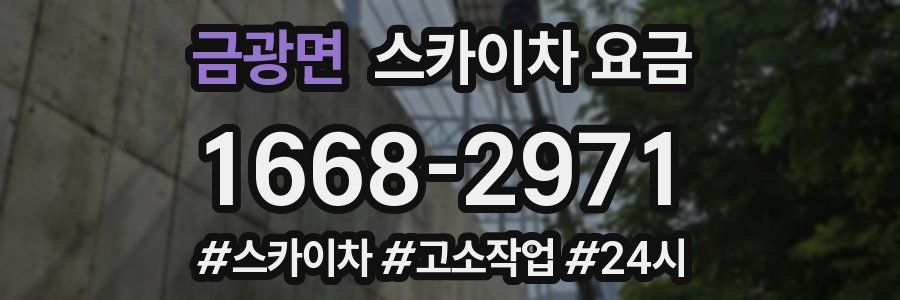 금광면 스카이차 요금