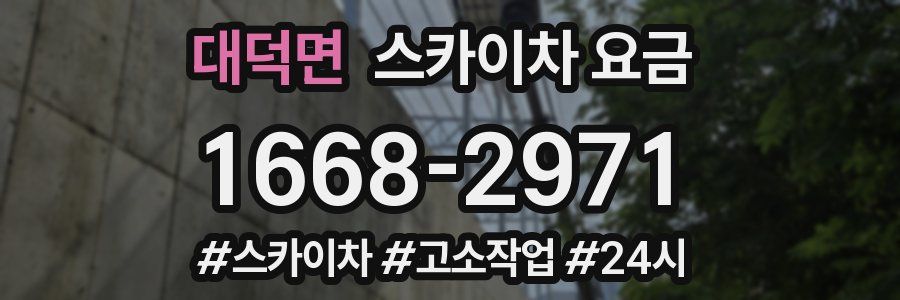 대덕면 스카이차 요금