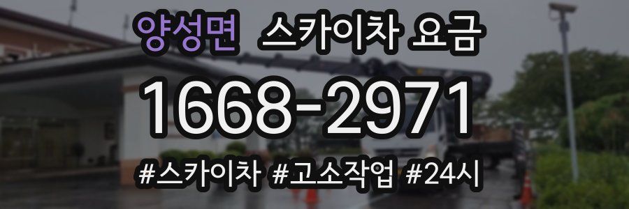 양성면 스카이차 요금