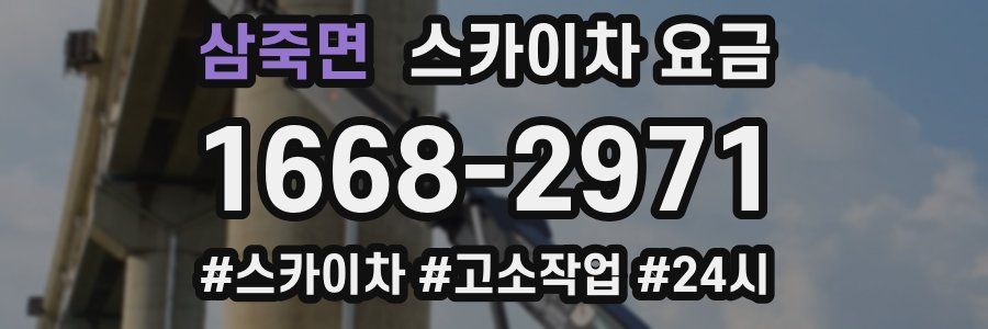 삼죽면 스카이차 요금