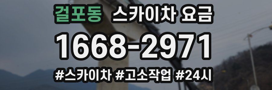 걸포동 스카이차 요금