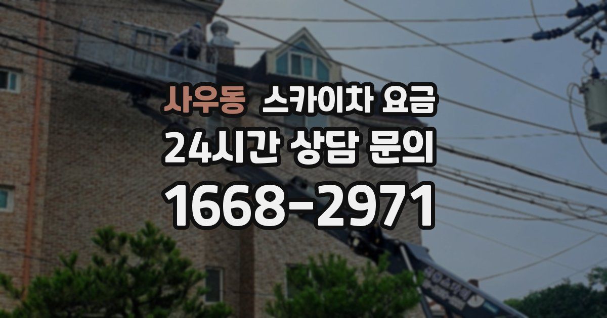 사우동 스카이차 요금