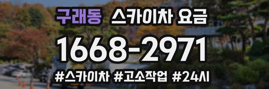 구래동 스카이차 요금