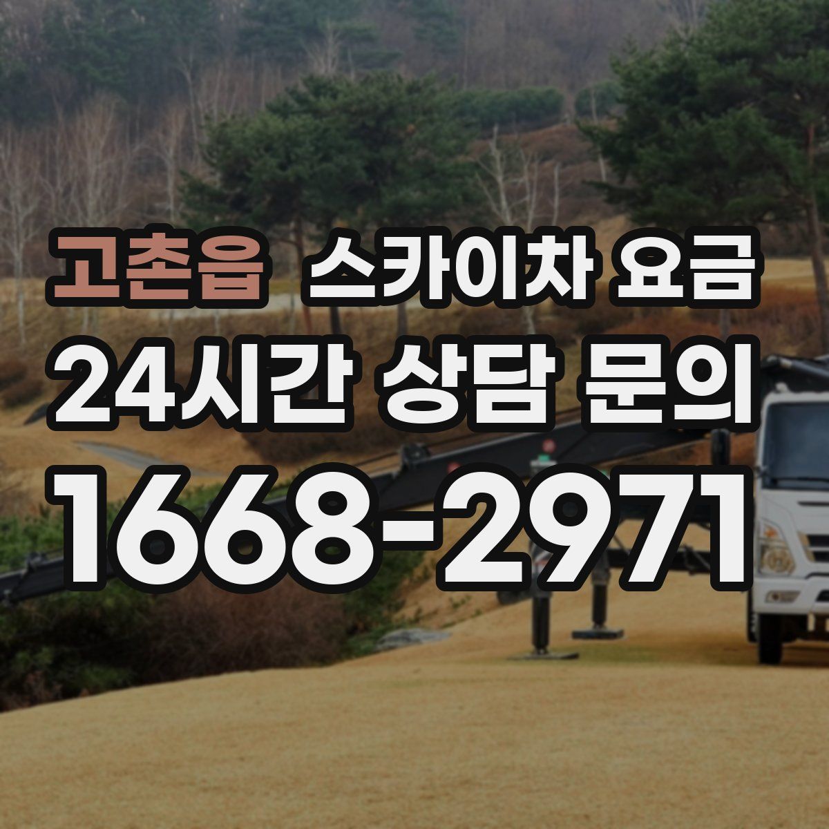 고촌읍 스카이차 요금