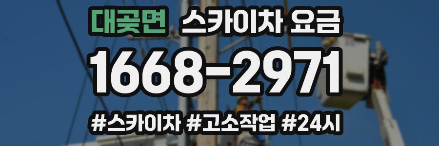 대곶면 스카이차 요금