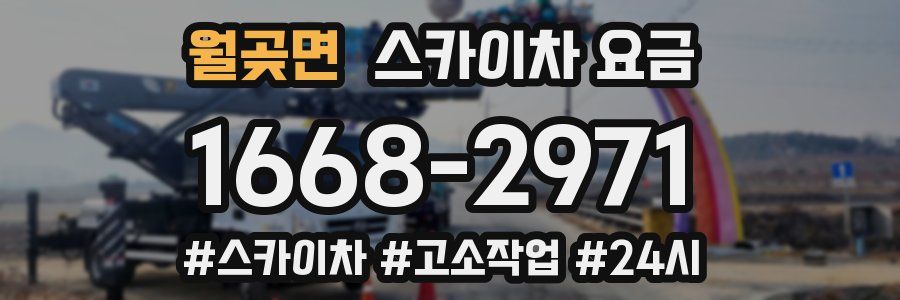 월곶면 스카이차 요금