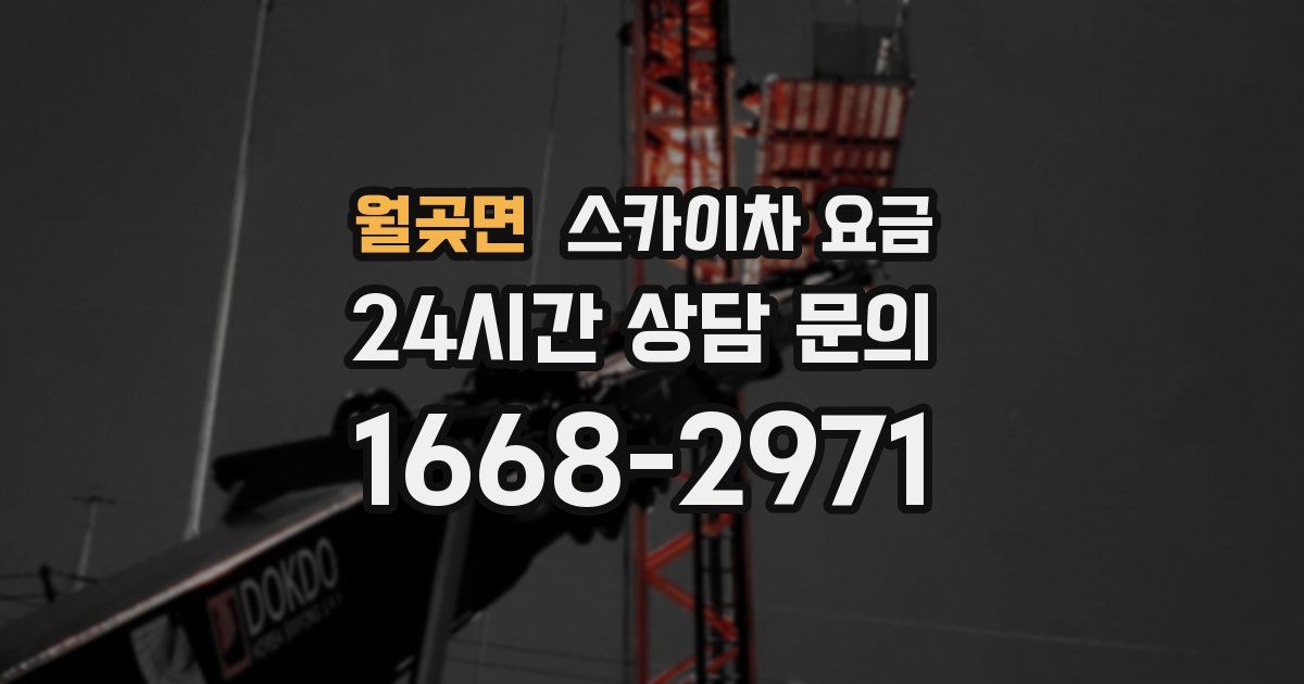 월곶면 스카이차 요금