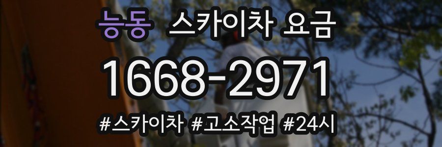 능동 스카이차 요금