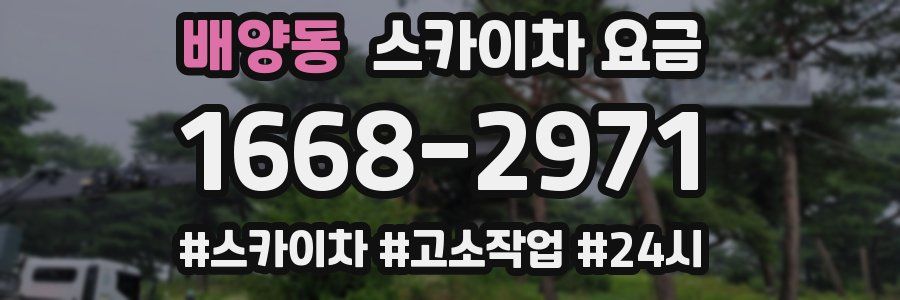 배양동 스카이차 요금