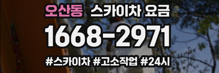 오산동 스카이차 요금