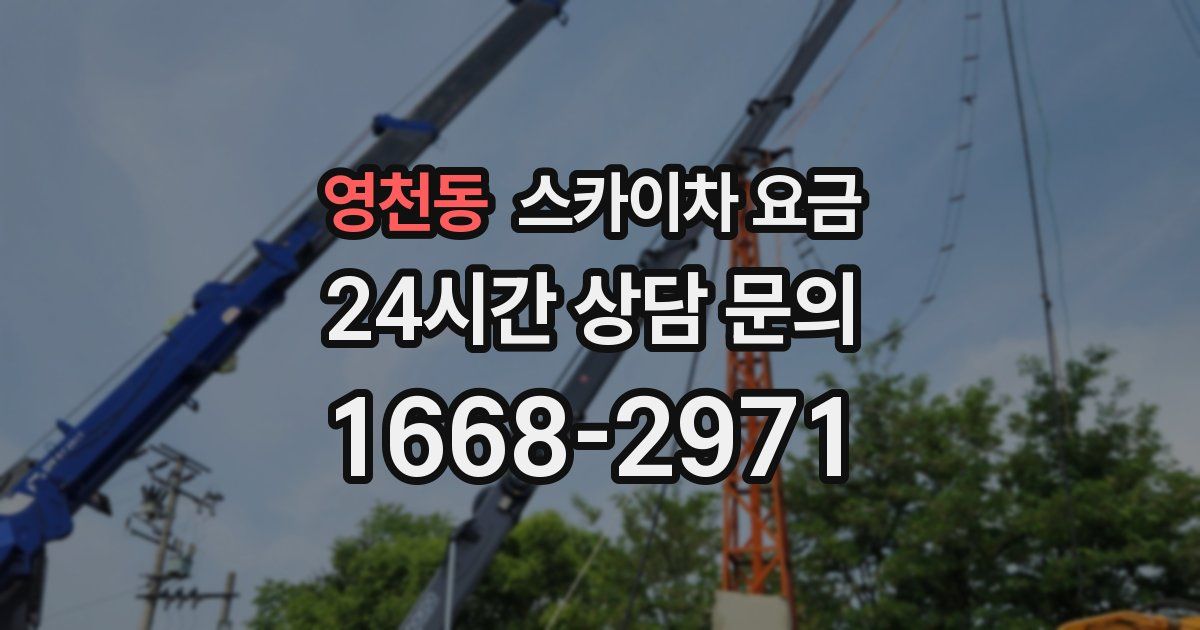 영천동 스카이차 요금