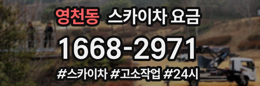 영천동 스카이차 요금